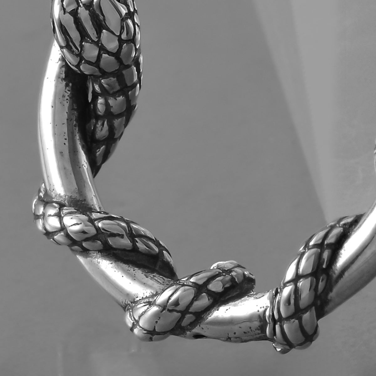 REBIRTH CYCLE EARRINGS